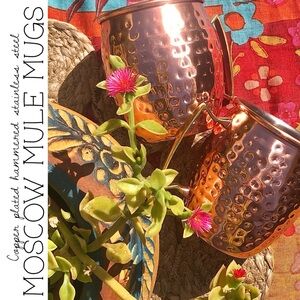Pair of Moscow Mule Copper Mugs